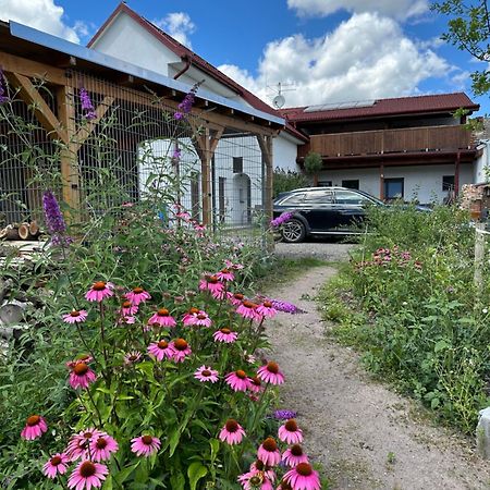 Frajarka Hotel Sedlec  Exterior photo