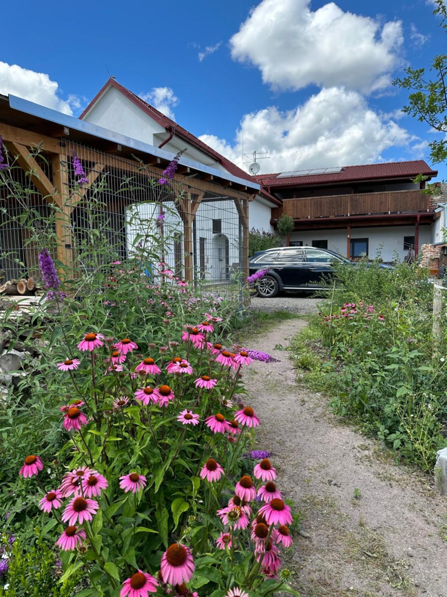 Frajarka Hotel Sedlec  Exterior photo